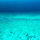 Veliapani reef in Lakshadweep.